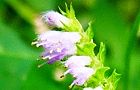 131017-naginata.jpg(4272 byte)