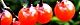 131115-hiyodorijyougo-s.jpg(1784 byte)