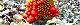 131206-musasiabumi-s.jpg(1970 byte)