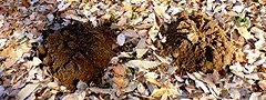 131208-moguratuka.jpg(13468 byte)