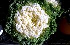 131228-habotan2.jpg(6153 byte)