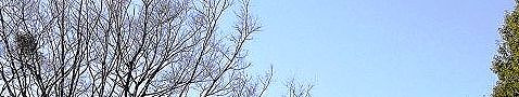 140107-oneryokudo-m.jpg(17962 byte)