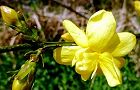 140401-oubai2.jpg(5933 byte)