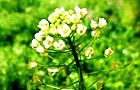 140402-benpengusa.jpg(6076 byte)