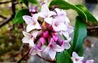 140402-jincyoge.jpg(5886 byte)