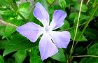 140410-nichinichi.jpg(5832 byte)