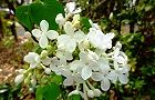 140410-rairakku.jpg(6880 byte)