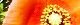 140421-kesi-s.jpg(1563 byte)
