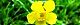 140421-kinbouke-s.jpg(1784 byte)