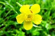 140421-kinbouke.jpg(6864 byte)