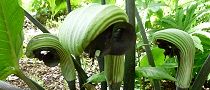 140502-musasiabumi3.jpg(9308 byte)