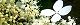 140703-noriutugi-s.jpg(1861 byte)