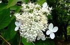 140703-noriutugi2.jpg(6286 byte)
