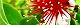 150605-feijyoa-s.jpg(1844 byte)
