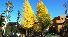 成城学園前駅入り口。08.11.22.