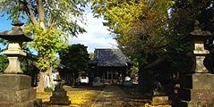赤塚諏訪神社一対の夫婦銀杏。09.11.20.