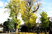雌株と雄株脇の神楽殿と石碑の水神宮。09.11.20.