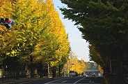 恵比寿方面を望む。09.11.26.