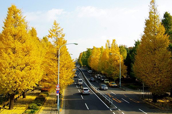 komazawa-orinpiku2.jpg(76970 byte)