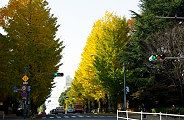 二子玉川方面を望む。09.11.26.