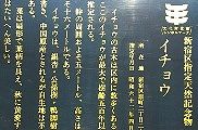 ubNO̓VRLOŔB09.12.02.