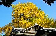 Ж̗̉tC`EB09.11.20.