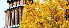銥l̐_ސ쌧ɁB'12.11.22.
