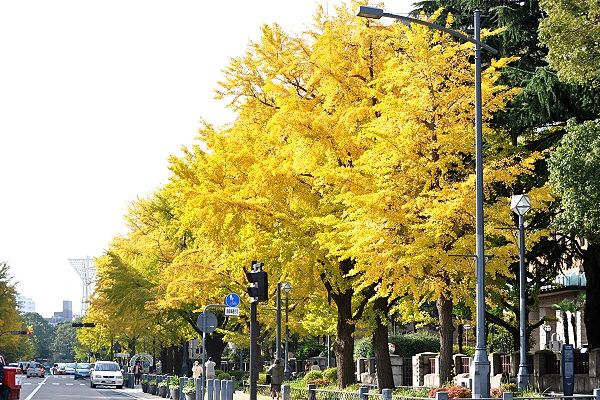 lޱт]ށB'12.11.22.