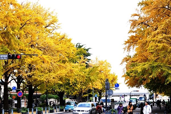 {ʂ̉l`X֋ǑOB'12.11.22.