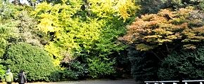 元内藤家庭園の玉川園入口。'12.11.22.