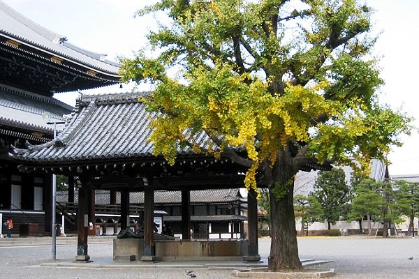 higasi-honganji.jpg(84851 byte)