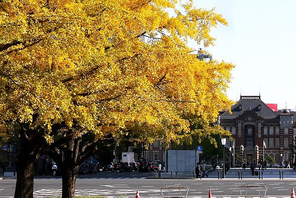 行幸通からの東京赤レンガ駅舎。'13.11.16.