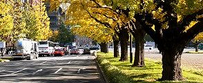 和田倉噴水公園前から。'13.11.16.