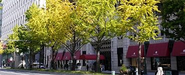 赤い庇の大丸心斎橋本館。'14.11.16.