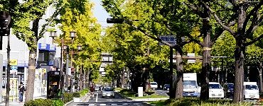 御堂筋南船場。'14.11.16.