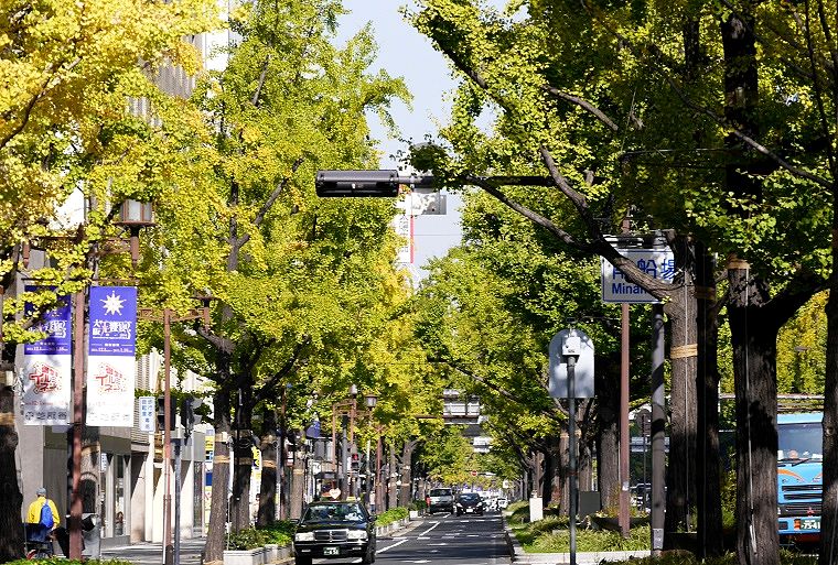 御堂筋南船場の側道。'14.11.16.