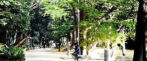 上水愛でる散策者。'12.11.22.