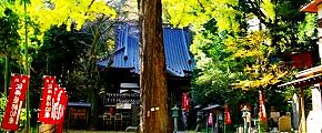 福王寺薬師堂境内。'12.12.02.