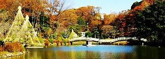 薬師池の太鼓橋。
