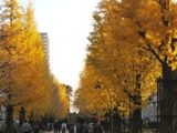 ふれあいの径から南側。07.12.06.