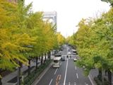 ポーリン橋から望めば雄大です。07.11.20.