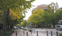 寒空の中で日本大通りを写生する方も散見される。07.11.20.