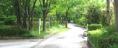 北側遊歩道の除草と清掃。06.06.12.