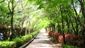 070424-sinryoku.jpg(6447 byte)