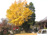 猩`̃C`EB06.12.05.