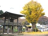ωO猩ԓ̃C`EB06.12.06.