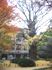 首賭けイチョウ。05.12.03.