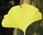 ityou-1-.jpg(3204 byte)