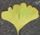 ityou-4-.jpg(3034 byte)
