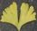 ityou-5-.jpg(3115 byte)